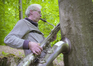 Musik im Wald - Wald IV
